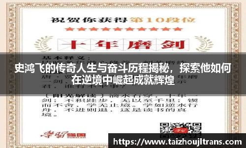 史鸿飞的传奇人生与奋斗历程揭秘，探索他如何在逆境中崛起成就辉煌