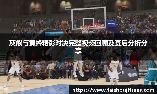 灰熊与黄蜂精彩对决完整视频回顾及赛后分析分享